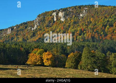 Vue de Hohe Wand de Dreistetten,Basse-Autriche,Autriche,Europe Banque D'Images