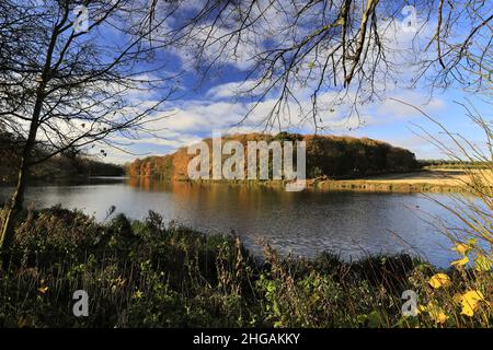 Couleurs d'automne au-dessus du lac Carburton, Bassetlaw, Nottinghamshire, Angleterre, Royaume-Uni Banque D'Images