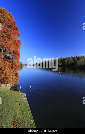 Couleurs d'automne au-dessus du lac à Clumber Park, dans le tinghamshire, Angleterre, Royaume-Uni Banque D'Images