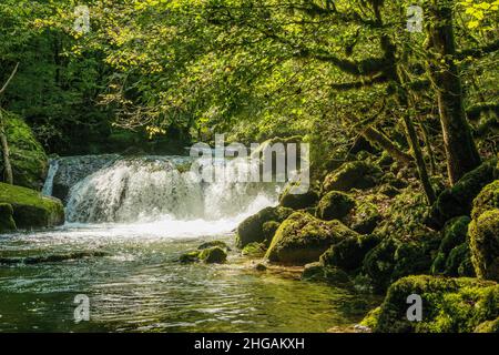 Cascade et rochers de mousse, Source de la Loue, Loue, Mouthier-haute-Pierre, Département du Doubs, Bourgogne-Franche-Comté,Jura, France Banque D'Images