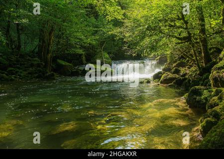 Cascade et rochers de mousse, Source de la Loue, Loue, Mouthier-haute-Pierre, Département du Doubs, Bourgogne-Franche-Comté,Jura, France Banque D'Images