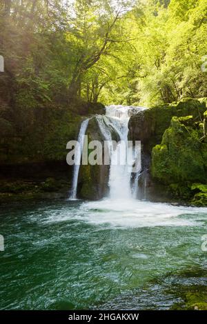 Cascade et rochers de mousse, Source de la Loue, Loue, Mouthier-haute-Pierre, Département du Doubs, Bourgogne-Franche-Comté,Jura, France Banque D'Images