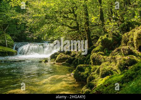 Cascade et rochers de mousse, Source de la Loue, Loue, Mouthier-haute-Pierre, Département du Doubs, Bourgogne-Franche-Comté,Jura, France Banque D'Images