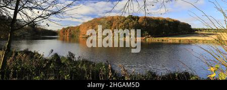 Couleurs d'automne au-dessus du lac Carburton, Bassetlaw, Nottinghamshire, Angleterre, Royaume-Uni Banque D'Images