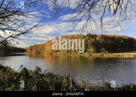 Couleurs d'automne au-dessus du lac Carburton, Bassetlaw, Nottinghamshire, Angleterre, Royaume-Uni Banque D'Images