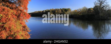 Couleurs d'automne au-dessus du lac à Clumber Park, dans le tinghamshire, Angleterre, Royaume-Uni Banque D'Images