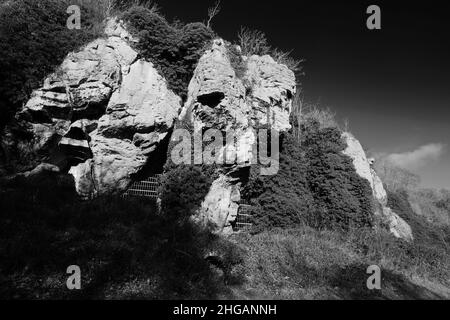 Vue sur la grotte de l'âge de glace de Dog Hole à la gorge préhistorique de Creswell Crags, dans le tinghamshire, en Angleterre, en Grande-Bretagne, au Royaume-Uni Banque D'Images