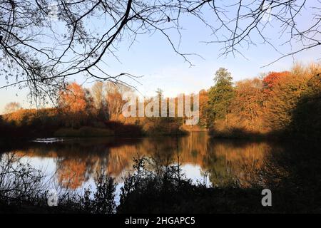 Vue d'automne sur le lac à l'abbaye de Rufford près de la ville d'Ollerton, dans le tinghamshire, Angleterre, Royaume-Uni Banque D'Images