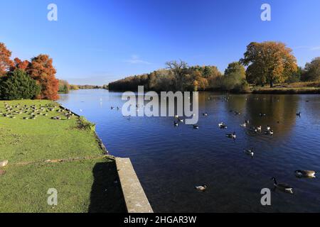 Couleurs d'automne au-dessus du lac à Clumber Park, dans le tinghamshire, Angleterre, Royaume-Uni Banque D'Images