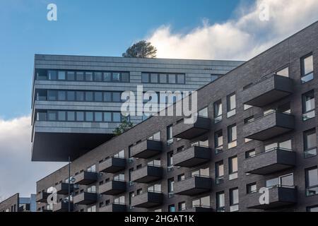 Amsterdam, Hollande du Nord, pays-Bas, 02.01.2022, détail de bâtiment moderne dans la région de Westerdok Amsterdam avec arbre sur le ro Banque D'Images