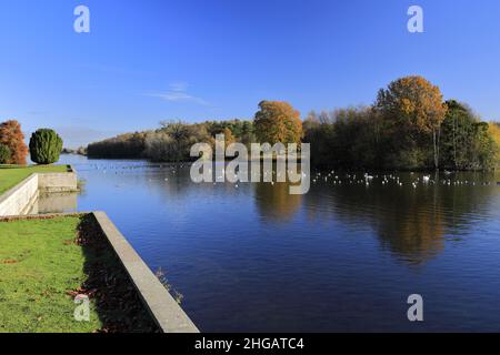 Couleurs d'automne au-dessus du lac à Clumber Park, dans le tinghamshire, Angleterre, Royaume-Uni Banque D'Images