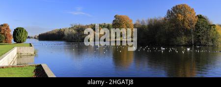 Couleurs d'automne au-dessus du lac à Clumber Park, dans le tinghamshire, Angleterre, Royaume-Uni Banque D'Images