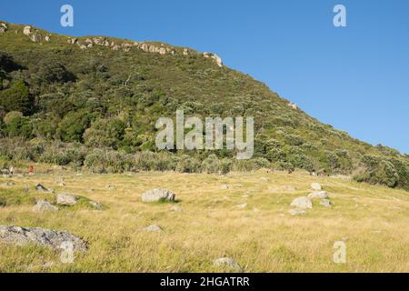 Tauranga Nouvelle-Zélande - janvier 16 2022; site touristique attraction Mount maunganui pente menant au sommet avec de petites figures ou des personnes marchant vers le haut. Banque D'Images