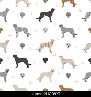 Motif de chien de chasse irlandais sans coutures.Différentes poses, ensemble de couleurs de pelage.Illustration vectorielle Illustration de Vecteur