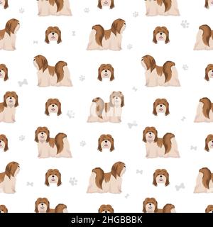 Motif Lhassa Apso sans coutures.Différentes poses, ensemble de couleurs de pelage.Illustration vectorielle Illustration de Vecteur