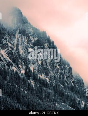 Autriche, steg , Un magnifique paysage de montagne en hiver avec des arbres, ciel de smog Banque D'Images