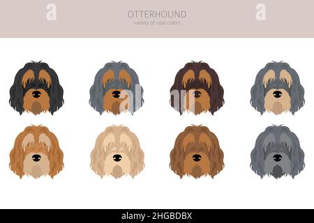 Le chien-de-chasse.Différentes poses, ensemble de couleurs de pelage.Illustration vectorielle Illustration de Vecteur