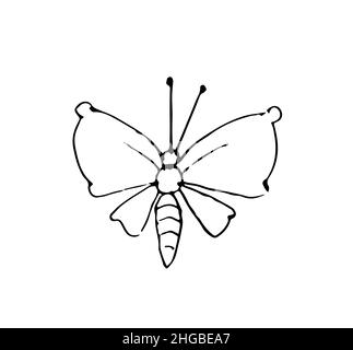 Papillon.Esquisse de contour.Insecte comique drôle.Le dessin à la main est isolé sur un fond blanc.Vecteur Illustration de Vecteur