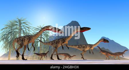 Un troupeau herbivore de plateaux regarde un paquet de chasse de dinosaures carnivores de Coelophysis pendant la période du Trias. Banque D'Images