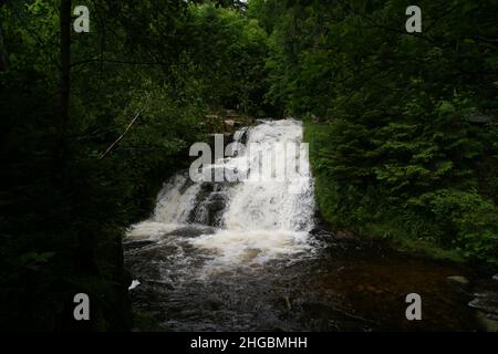 Chute d'eau à Menzenschwand Banque D'Images