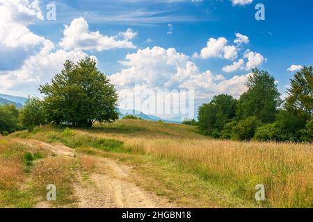 belle campagne de transcarpathia. après-midi ensoleillé. paysage estival pittoresque en montagne. prairies herbeuses et collines boisées. paysage d'esprit Banque D'Images