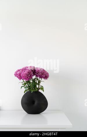 Composition élégante des magnifiques fleurs de chrysanthème rose debout dans un vase moderne noir à la table.Lagom concept de culture suédoise Banque D'Images