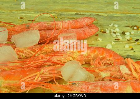 Crevettes surgelées sur fond blanc en bois avec assaisonnements et glace pilée.Gros plan des crevettes surgelées Banque D'Images