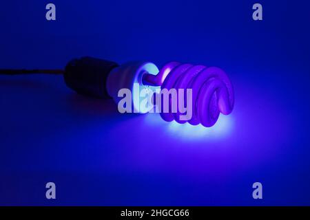 Lampe fluorescente UV - UV CCFL - cathode froide sur surface blanche Banque D'Images