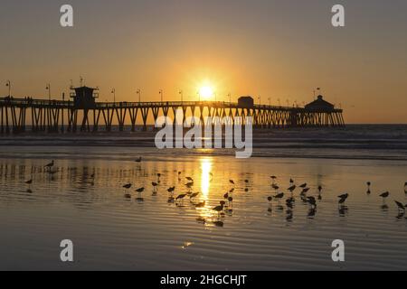 Seagull Birds et Scenic Sunset Sky se reflètent dans le front de mer Pacific Ocean Surf au-dessus de la jetée d'Imperial Beach à San Diego, Californie du Sud des États-Unis Banque D'Images