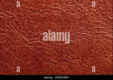 Structure de la surface en cuir marron vue macro Banque D'Images