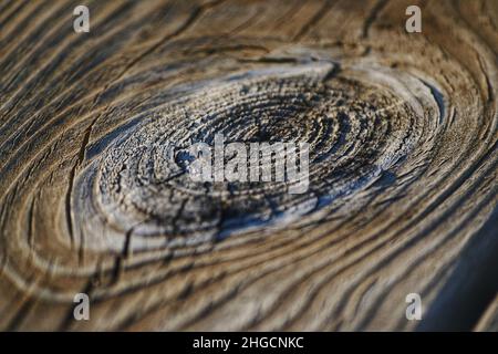 123rf fond de texture de bois avec Knot.Prise de vue macro Banque D'Images