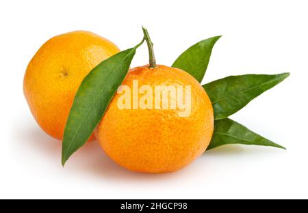 Les tangerines isolé sur fond blanc avec clipping path Banque D'Images