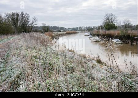 Givrer sur la rive lors d'une froide gelée matin d'hiver le long de la rivière Arun à Arundel, West Sussex, Angleterre, Royaume-Uni. Banque D'Images