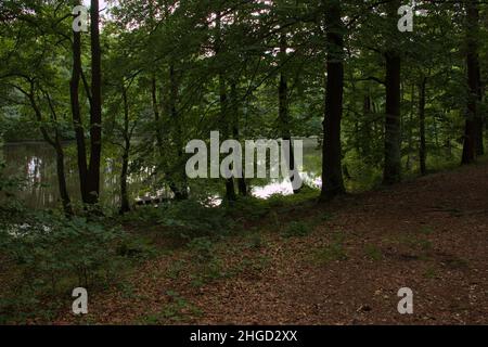 Étang dans le jardin du palais du château Kynzvart,région de Plzeň,République Tchèque,Europe Banque D'Images