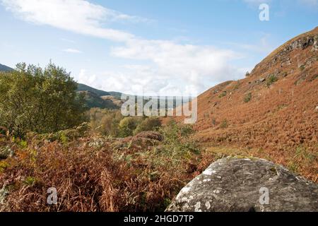 Sentier à côté de Buchan Burn menant du Loch Trool à Merrick Dumfries et Galloway Scotland Banque D'Images