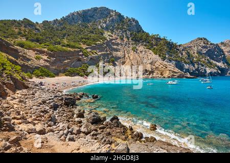 Eaux turquoise de Majorque. Plage de Coll Baix. Côte méditerranéenne. Espagne Banque D'Images