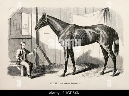 Planet, le célèbre quatre mille dessiné par E. S. H. [Planet (1855–1875) était un cheval de course et un intronisé du U.S. Racing Hall of Fame qui, au peuple, était considéré comme le meilleur cheval avant la guerre de Sécession.Il a établi un record pour les gains en argent du prix qui ont représenté pendant 20 ans].D'après le livre ' Famous American race chevaux ' publié en 1877 par porter et Coates Philadelphie, Banque D'Images