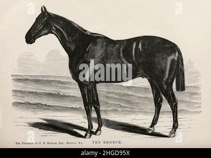 Ten Broeck dessiné par Henry Stull Ten Broeck (29 juin 1872 – 28 juin 1887) était un raceHorse de course de pur-sang américain dont la victoire de 1878 à Louisville,Contre la grande jument de Californie, Mollie McCarty a été immortalisée dans la chanson populaire du Kentucky communément appelée « Molly and Tenbrooks ».D'après le livre ' Famous American race chevaux ' publié en 1877 par porter et Coates Philadelphie, Banque D'Images