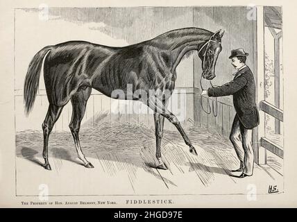 Fiddlestick dessiné par Henry Stull d'après le livre ' Famous American race Horses ' publié en 1877 par porter and Coates Philadelphia, Banque D'Images