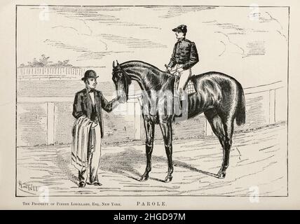 Libération conditionnelle tirée par Henry Stull libération conditionnelle (1873–1903) était un cheval de course de Thoroughbred produit par Pierre Lorillard, un scion de la famille du tabac du livre ' Famous American race Horses ' publié en 1877 par porter and Coates Philadelphia, Banque D'Images