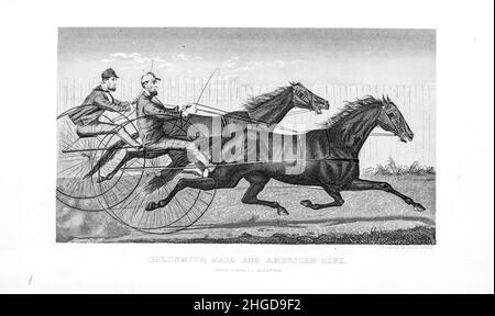 Goldsmith Maid (1857 – 23 septembre 1885) était un célèbre race Standardbred dans le 1870s qui a été appelé la "Reine des Trotters" et a eu une carrière de course de harnais qui a duré 13 ans. Et American Girl cou à cou de tous les propriétaires de chevaux cyclopedia :l'anatomie et la physiologie du cheval; les caractéristiques générales; les points du cheval, avec des directions pour le choisir; les principes de l'élevage, et le meilleur genre à se reproduire; le traitement de la jument de couvain et du foal; l'élévation et la rupture du colt; les écuries et la gestion stable;Équitation, conduite, etc. Maladies,et comment t Banque D'Images