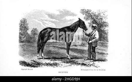 Dexter, le roi de Trotting de la cyclopedia de chaque propriétaire de cheval : l'anatomie et la physiologie du cheval; les caractéristiques générales; les points du cheval, avec des instructions pour le choisir; les principes de l'élevage, et le meilleur genre à reproduire; le traitement de la jument de couvain et de la foal;Élever et briser le colt, les écuries et la gestion stable, l'équitation, la conduite, etc. Maladies,et comment les guérir.Les principaux médicaments, et les doses dans lesquelles ils peuvent être administrés en toute sécurité; accidents, fractures, et les opérations nécessaires dans chaque cas; raquette, etc. Editeur: Philadelphie : Banque D'Images