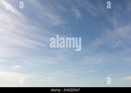 Vue à angle bas des nuages avec des oiseaux volant dans le ciel bleu le jour ensoleillé Banque D'Images