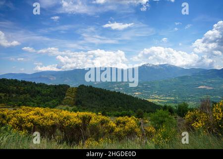 Paysage à Molise près de Macchiagodena et de Sant Angelo à Grotte, province d'Isernia, au mois de juin Banque D'Images
