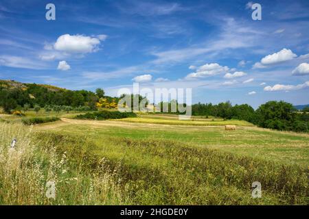 Paysage à Molise près de Macchiagodena et Frosolone, province d'Isernia, en juin Banque D'Images