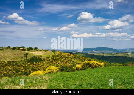 Paysage à Molise près de Macchiagodena et Frosolone, province d'Isernia, en juin Banque D'Images