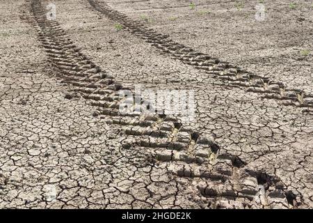 Le tracteur traverse un champ aride sec lors de la sécheresse sur une ferme britannique.Arrière-plan, texture ou motif représentant les concepts du réchauffement climatique et de la planète Banque D'Images