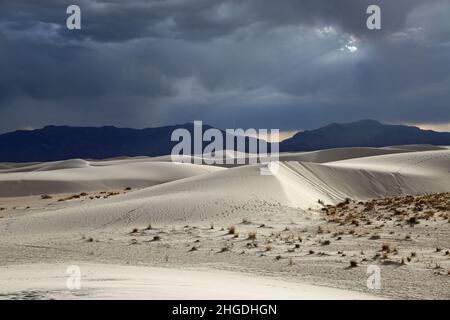 Paysage désertique - Parc national de White Sands, Nouveau-Mexique Banque D'Images