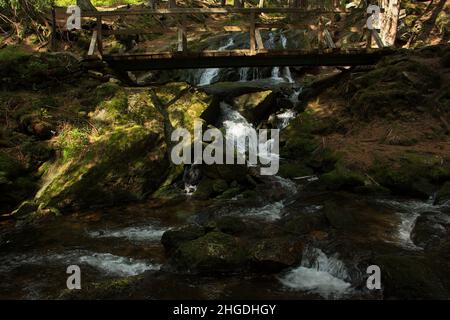 Pont en bois au-dessus de la chute d'eau vodopad Lisci sur la crique Zeleny potok à Pec pod Snezkou dans les montagnes géantes, République tchèque, Europe Banque D'Images