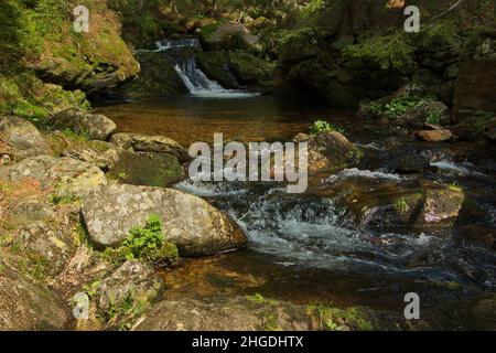 Ruisseau Zeleny potok à Pec pod Snezkou dans les montagnes géantes, République tchèque, Europe Banque D'Images